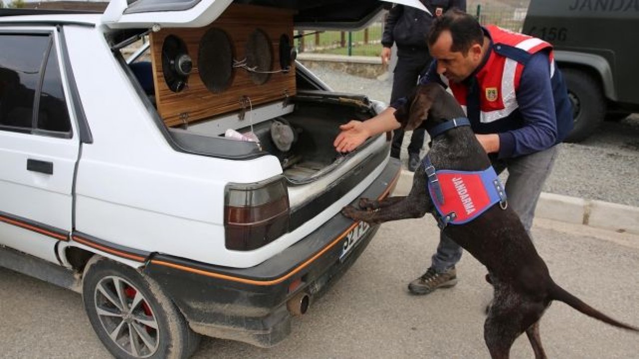 ‘Bedel’ ve ‘Kabuk’ suçlulara göz açtırmıyor