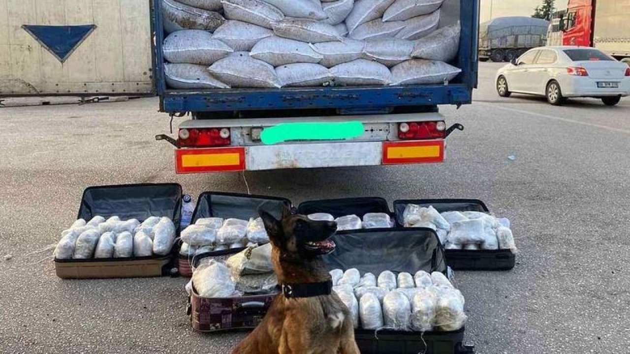 Milyonluk uyuşturucu operasyonunda tutuklanan yok