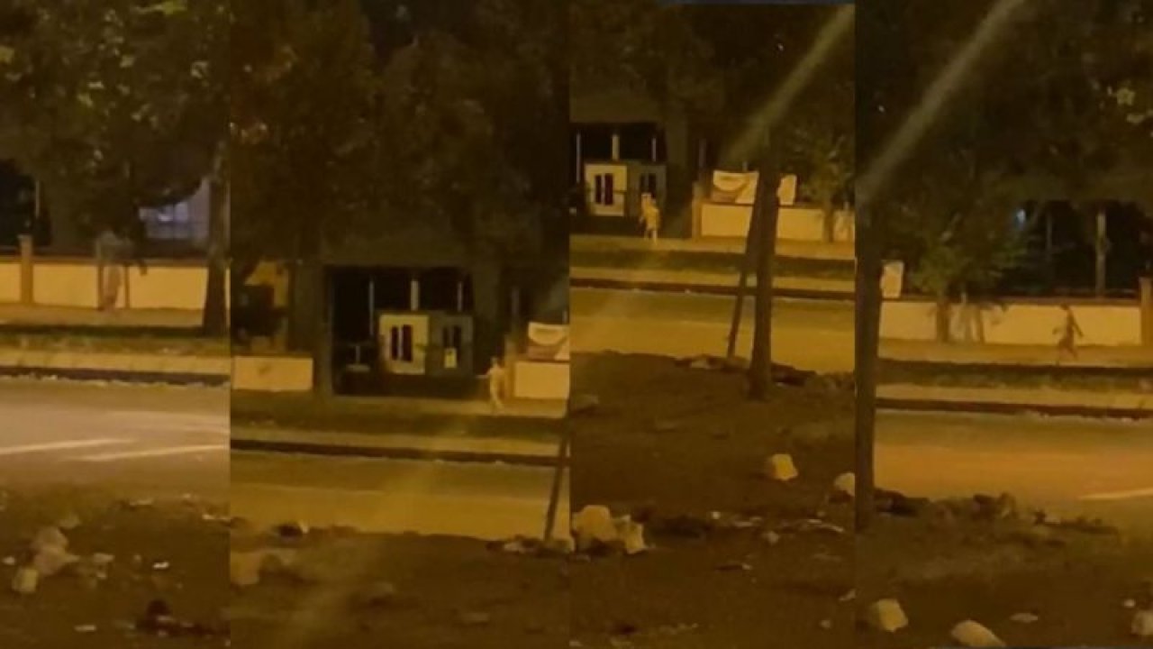 Sokakta çıplak gezip “zam” diye bağırdı