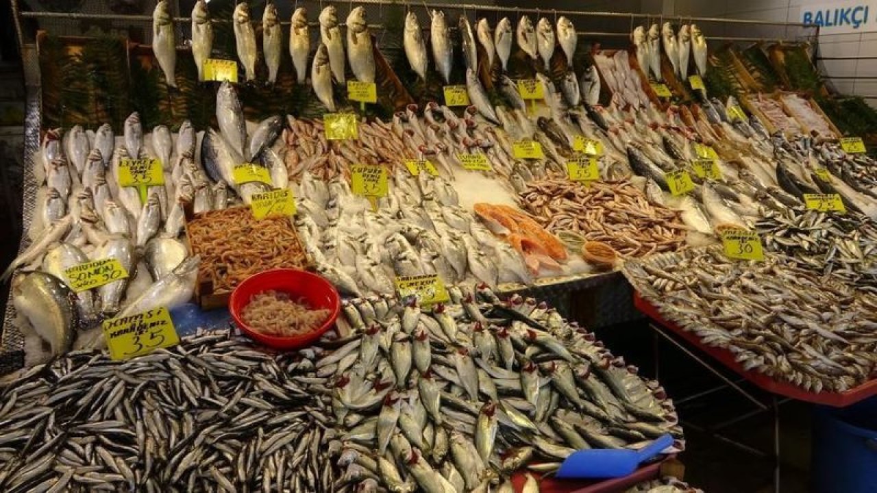 Balık severlere müjde! Tavuktan ucuz balık!
