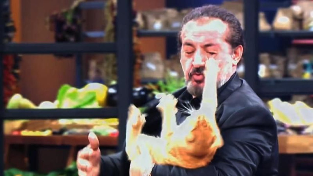 Ünlü şef neye uğradığını şaşırdı! Kedi…