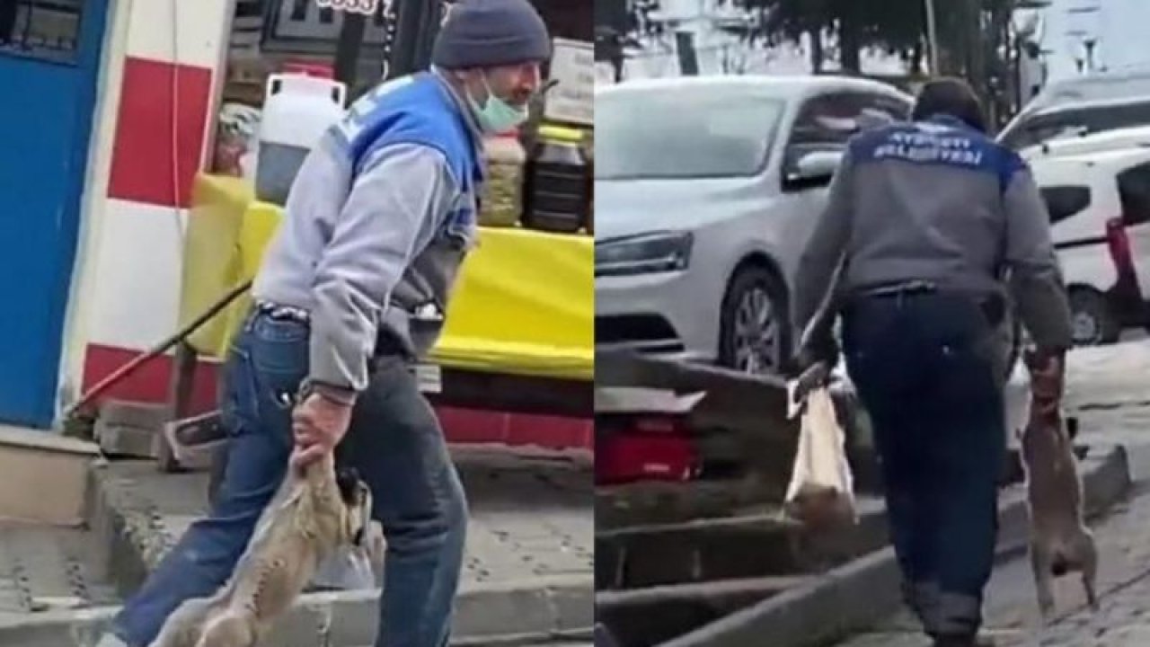 Sosyal medyanın gündemine oturmuştu! O işçiye…