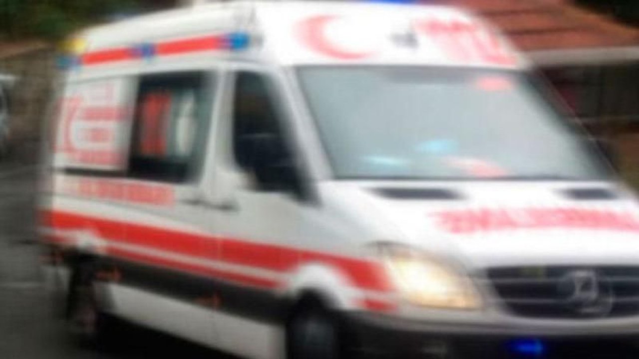 Yok artık dedirten olay! Cansız bedenin yanında kavgaya devam ettiler
