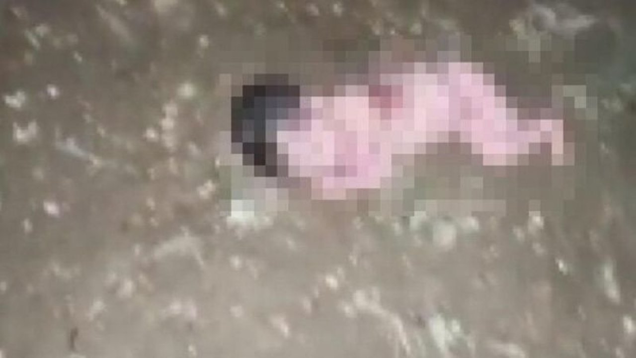 Vicdansızlığın böylesi! Yeni doğmuş bebek üzeri çıplak halde bahçede bulundu
