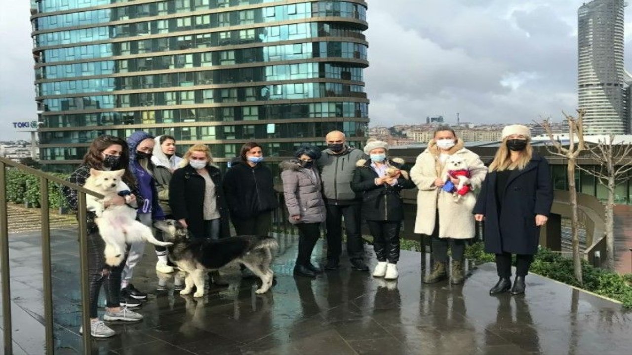 Kadıköy’de hayvansevere şiddet: Samuray kılıcıyla doğrarım