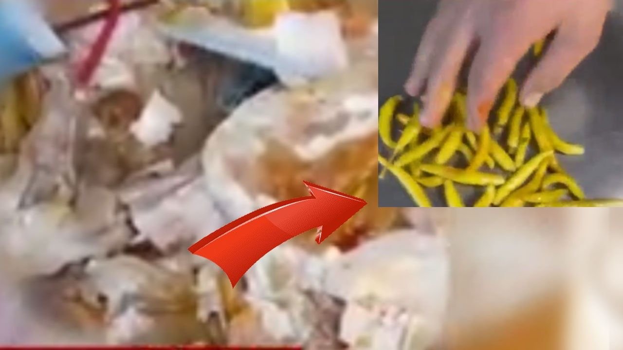 Tantunicide mide bulandıran olay! Çöpten turşu topladılar