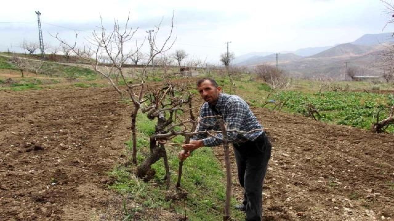 Bahçesine gelen çiftçi büyük  şok yaşadı: Hırsızlar direkleri çaldı
