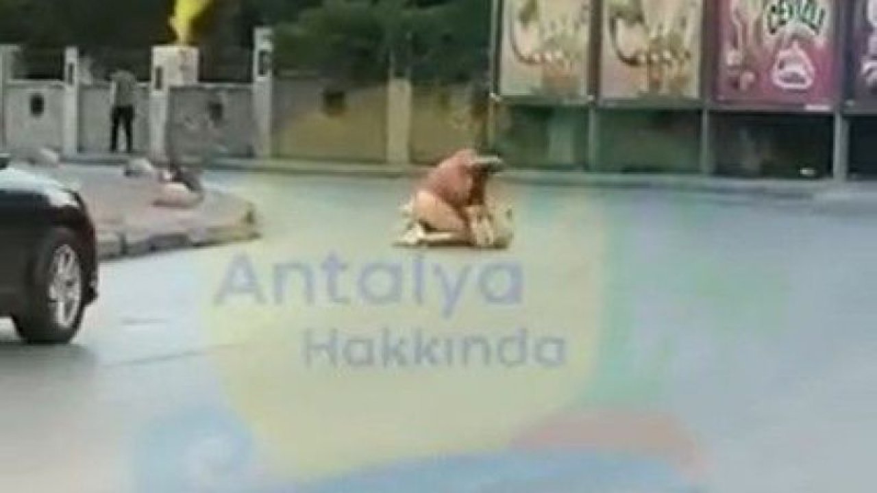 Antalya’da iki kadın yol ortasında yumruk yumruğa kavga etti