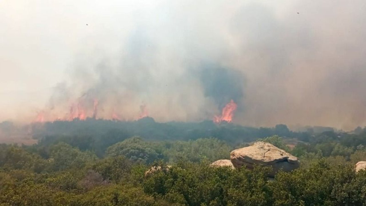 Çanakkale’de orman yangını