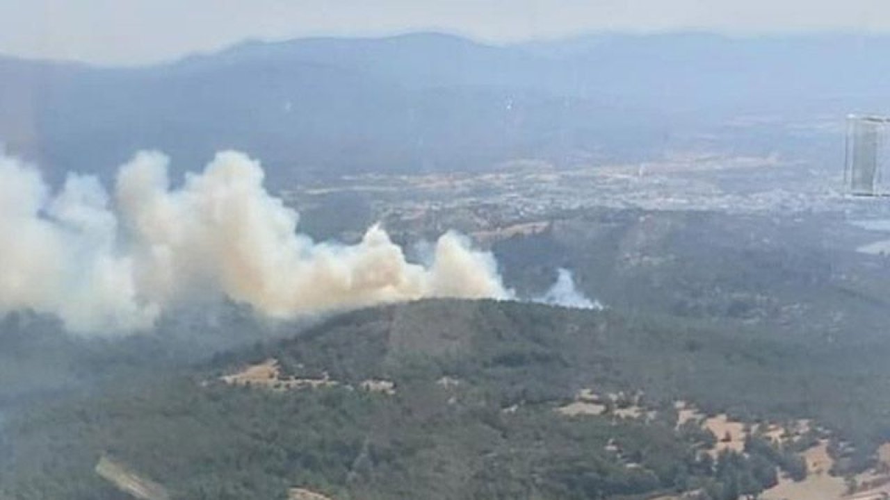 Bodrum’da yangın alarmı