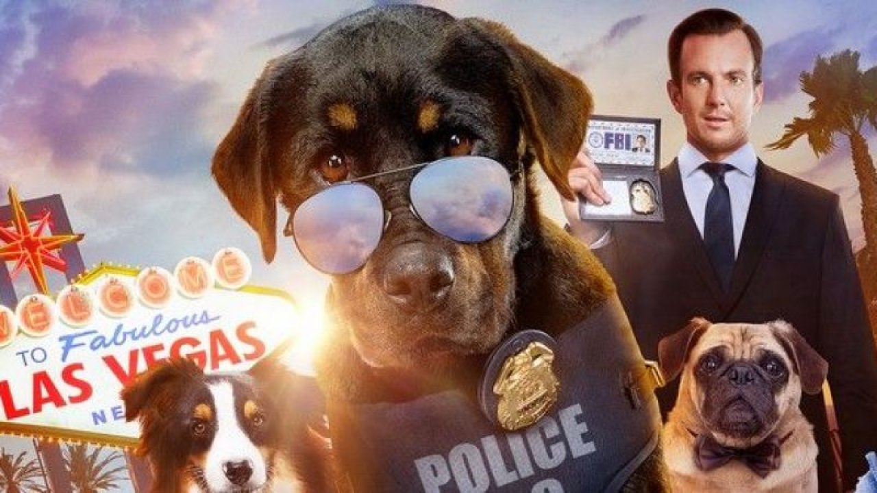 TV’de ilk! Gösteri Köpekleri filmi bugün hangi kanalda, saat kaçta? Gösteri Köpekleri konusu ne, oyuncuları kimler?