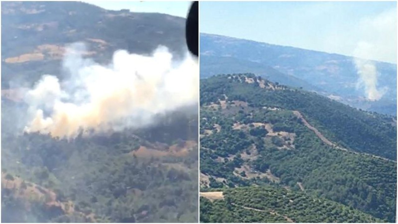 Manisa’da korkutan orman yangını