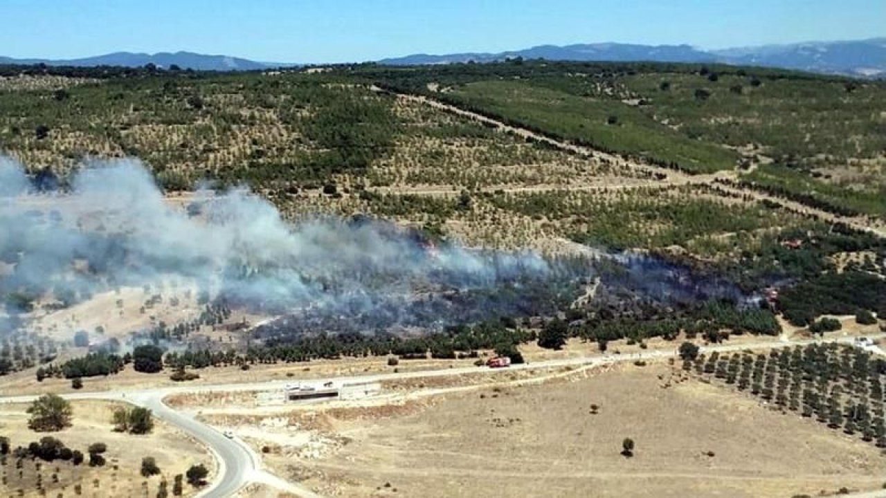 Bergama ve Hatay’dan alevler yükseliyor! Orman yangınları devam ediyor