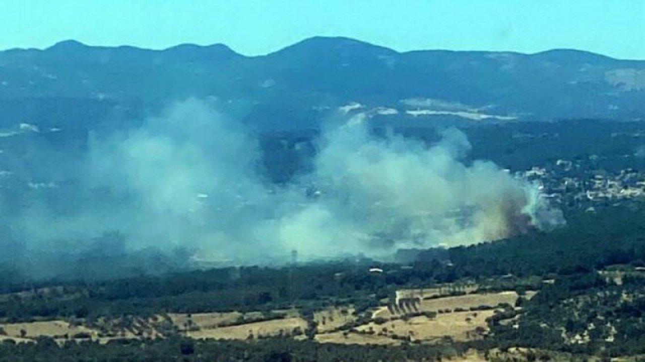 Bornova’daki ormandan alevler yükseldi