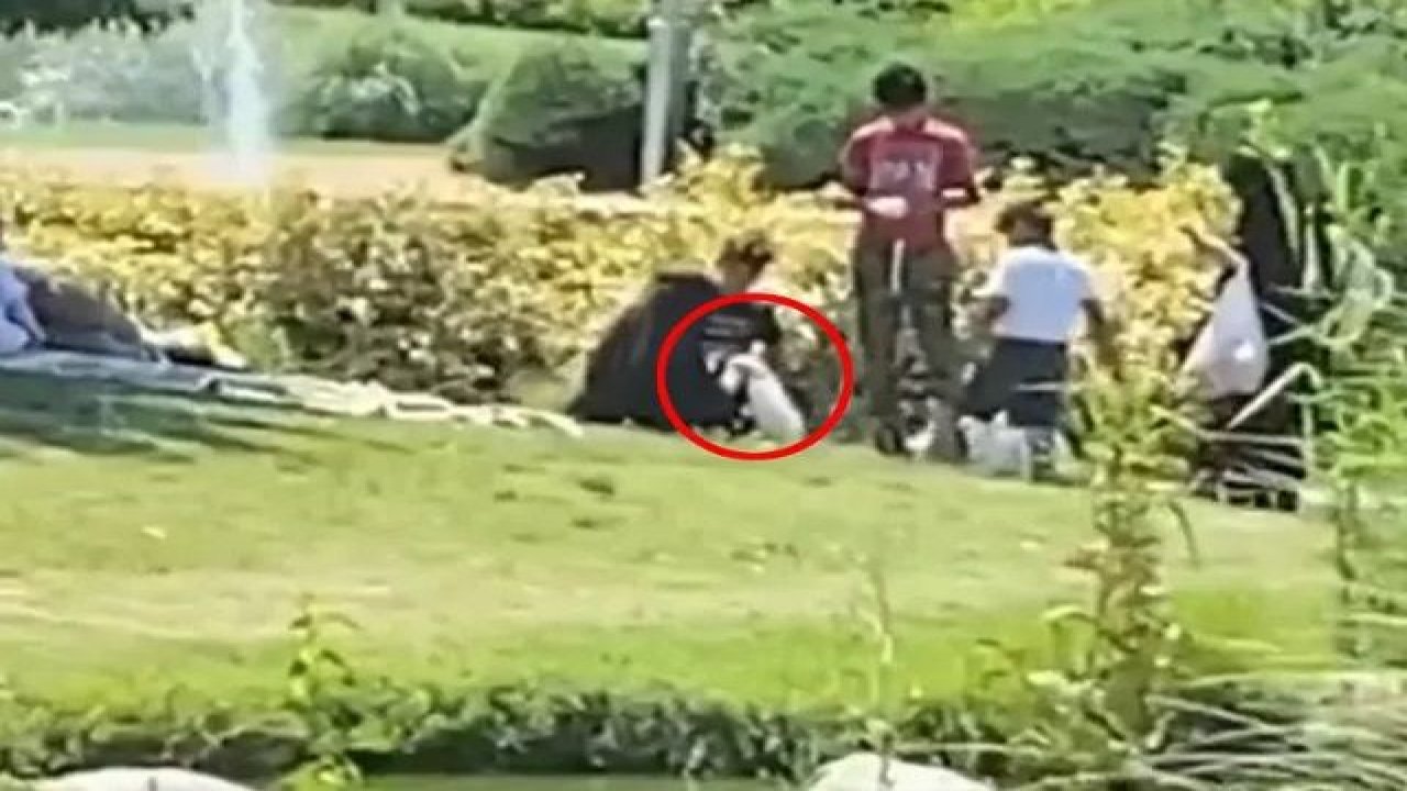 Bahçeşehir Gölet Parkı’nda görülmemiş olay! İki kadın göletteki kazları çaldı!
