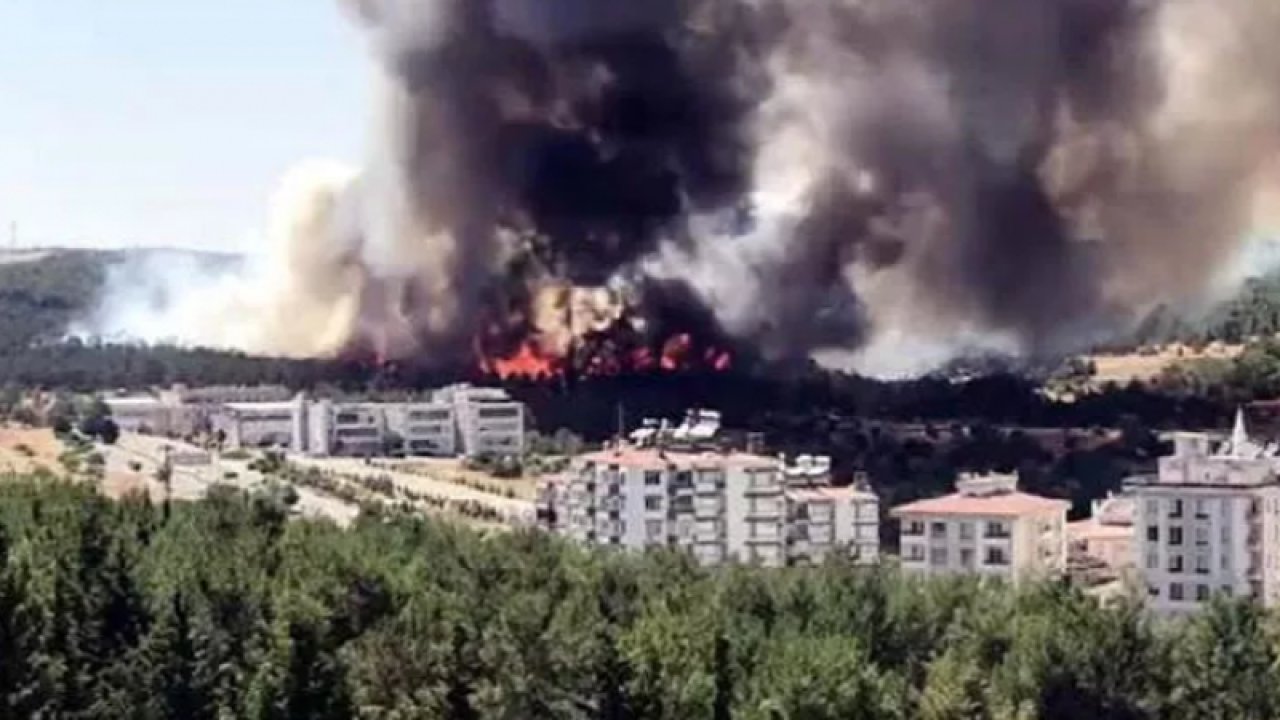 Gaziantep’te orman yangını