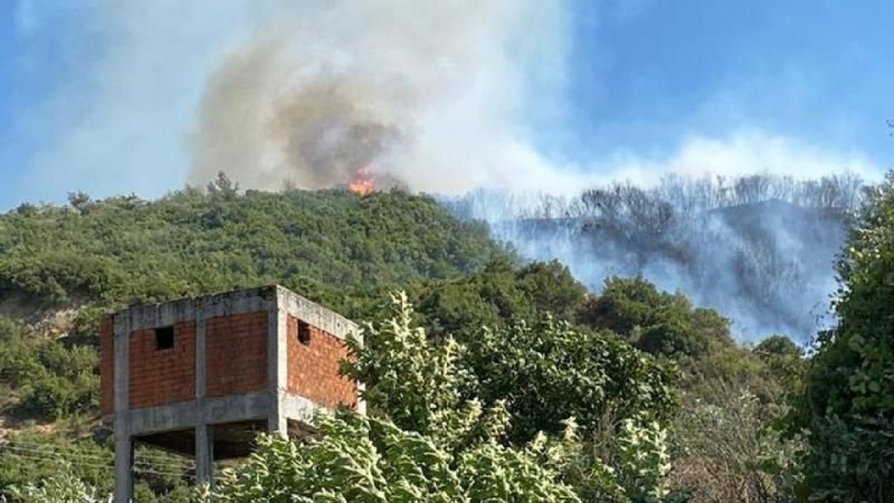 Aydın’da orman yangını