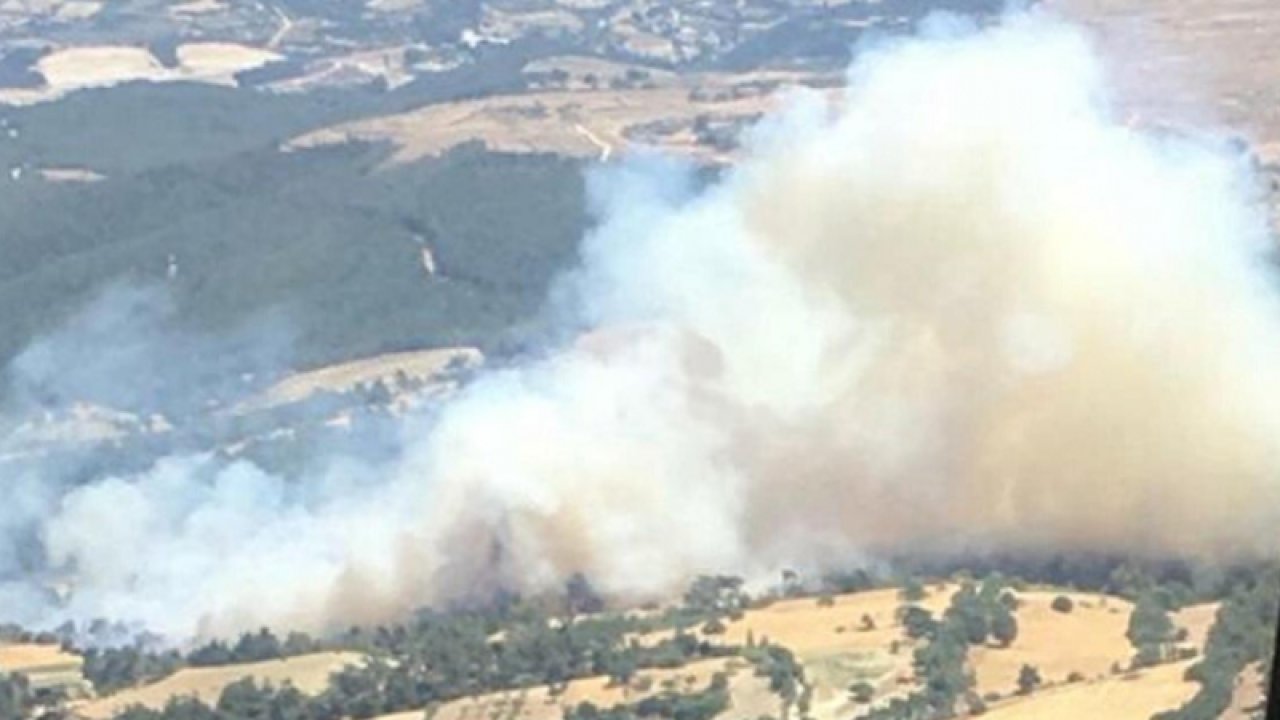 Manisa’da orman yangını