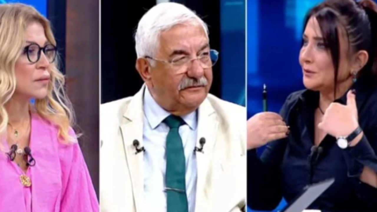 Sevilay Yılman ve Ali Saydam canlı yayında kavga etti! TÜİK rakamları ortalığı karıştırdı