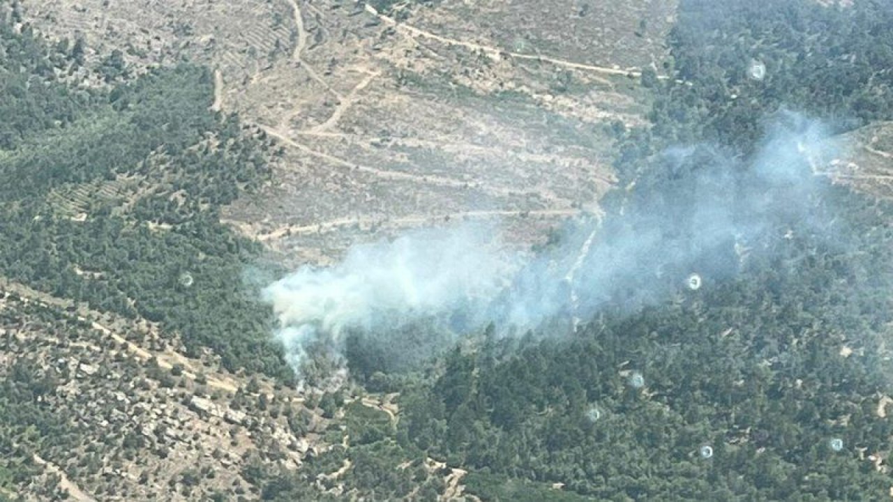 İzmir’de orman yangını