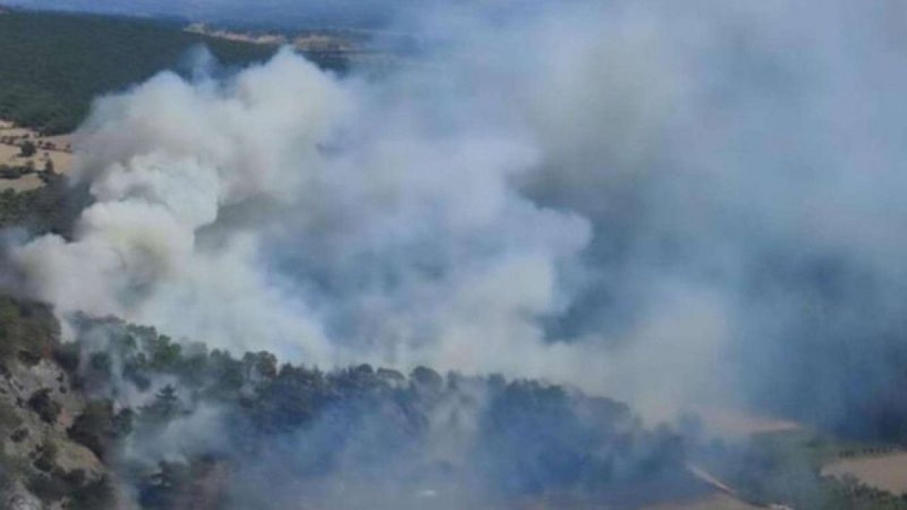 Çanakkale’de kaza oldu, orman yandı