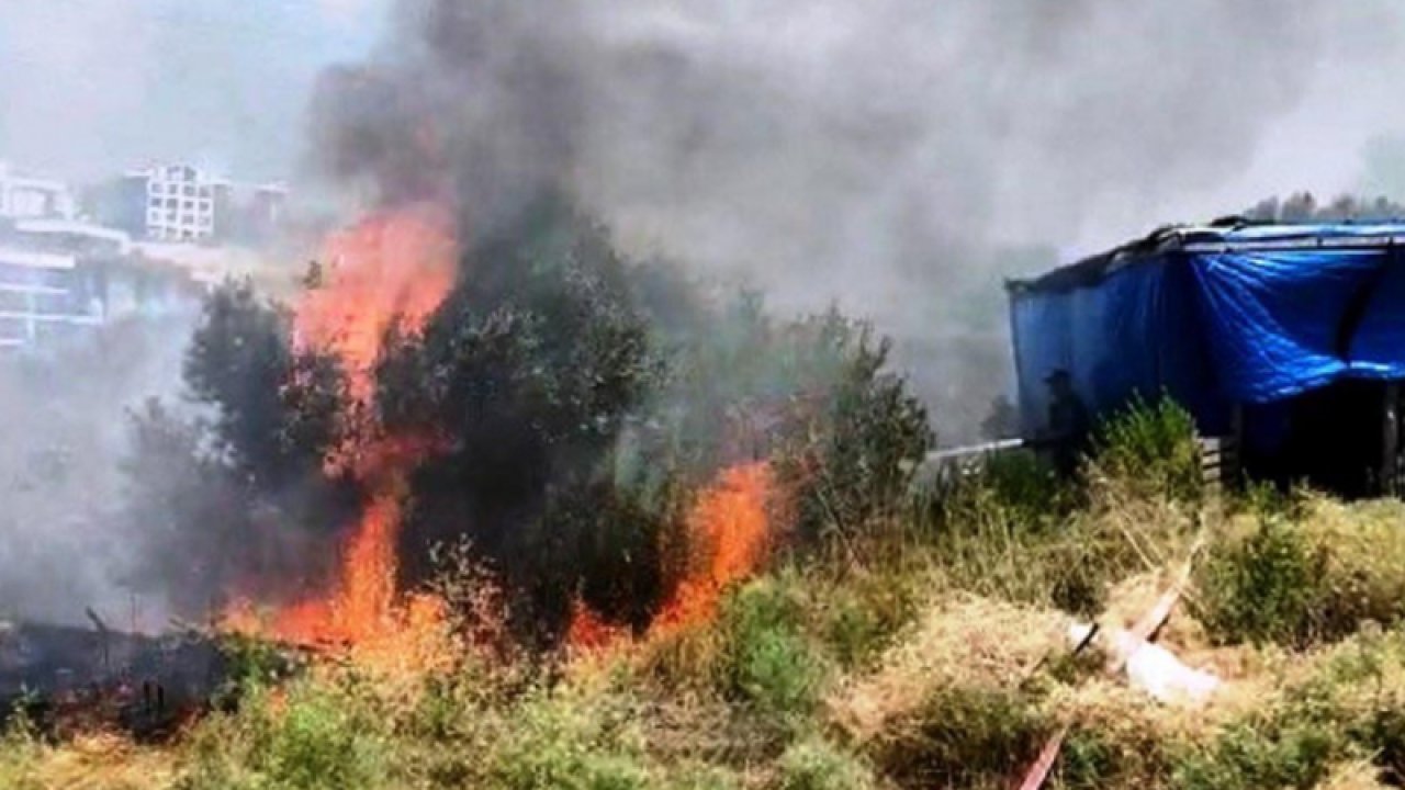 Kuşadası’nda orman yangını