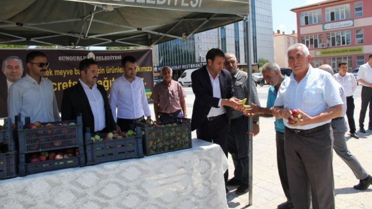 Sungurlu Belediyesi’nden halka ücretsiz meyve