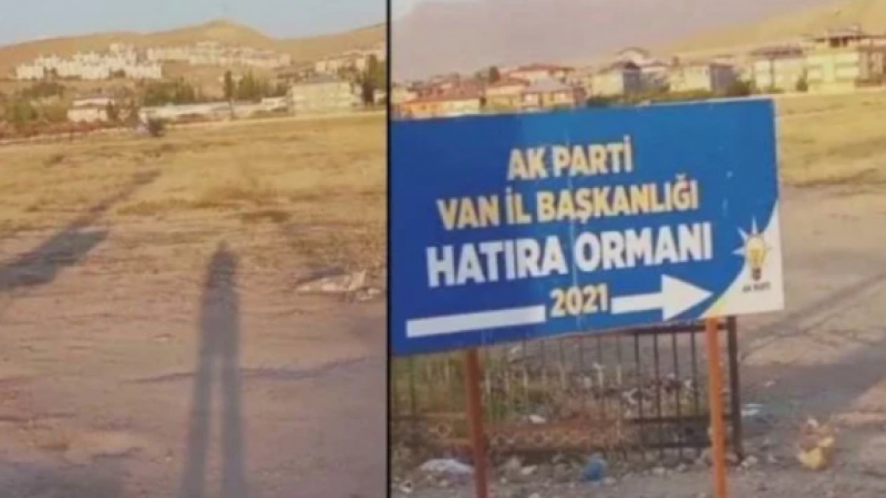 AKP’nin Van’daki ormansız alana dikili tabelası sosyal medyada gündem oldu