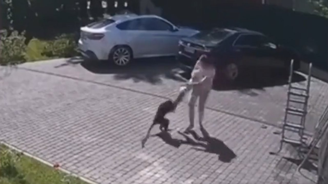 Bu da maymun dehşeti! Saldırdı, küçük çocuğu kaçırmaya kalktı