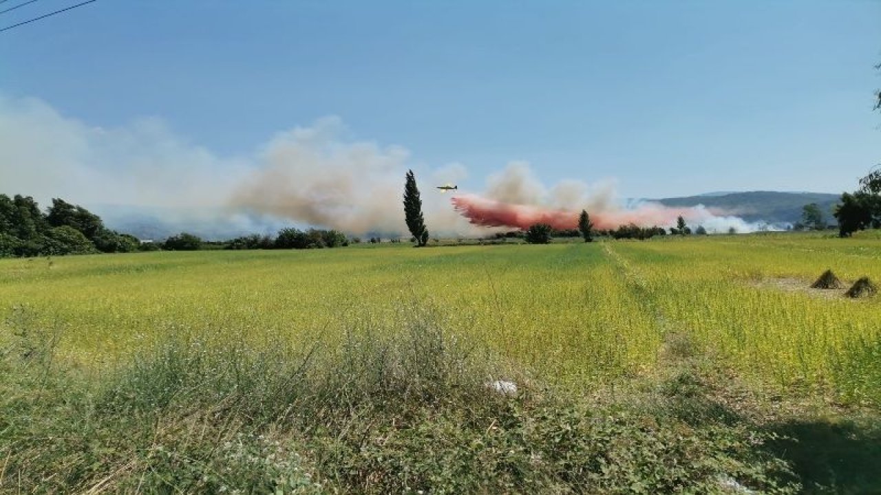Muğla’daki tarım arazisi alev alev yanıyor