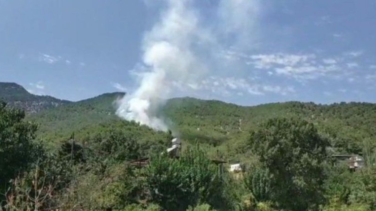 Hatay’da korkutan orman yangını