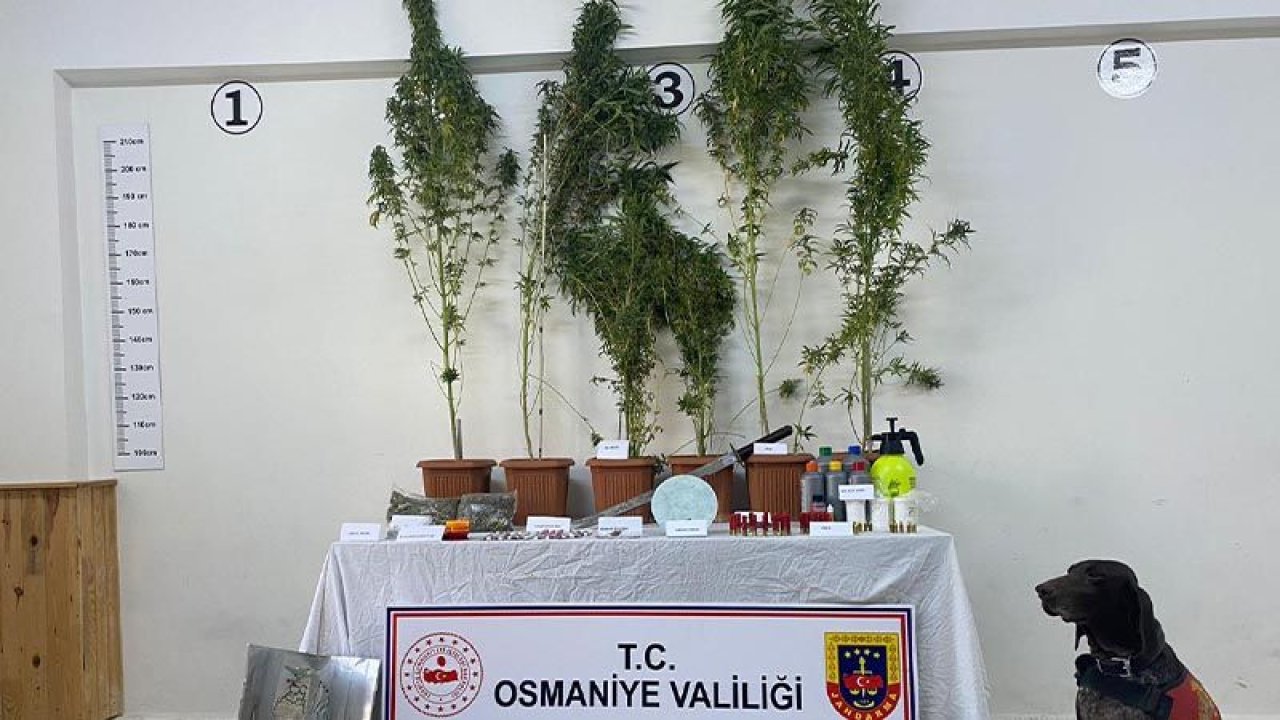 Osmaniye’de uyuşturucu baskını! Eve kurduğu düzenek “yok artık” dedirtti