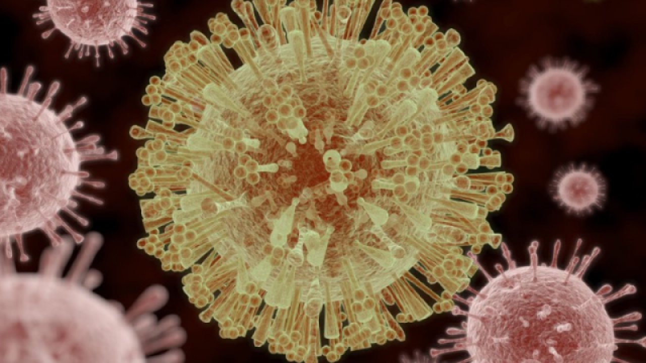 İstanbul’da sivrisinekten bulaşmaya başladı! Zika virüsü nedir, nasıl bulaşır? Zika virüsünün belirtileri nelerdir?