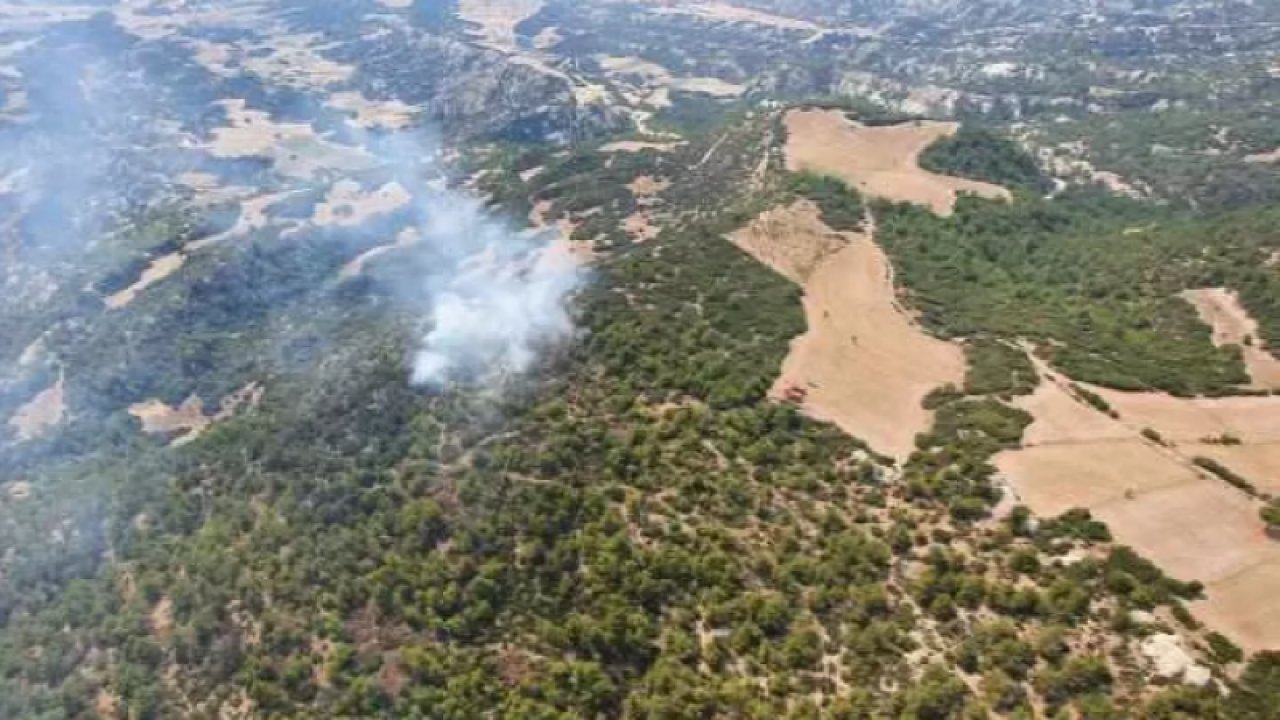 Manisa’da korkutan orman yangını