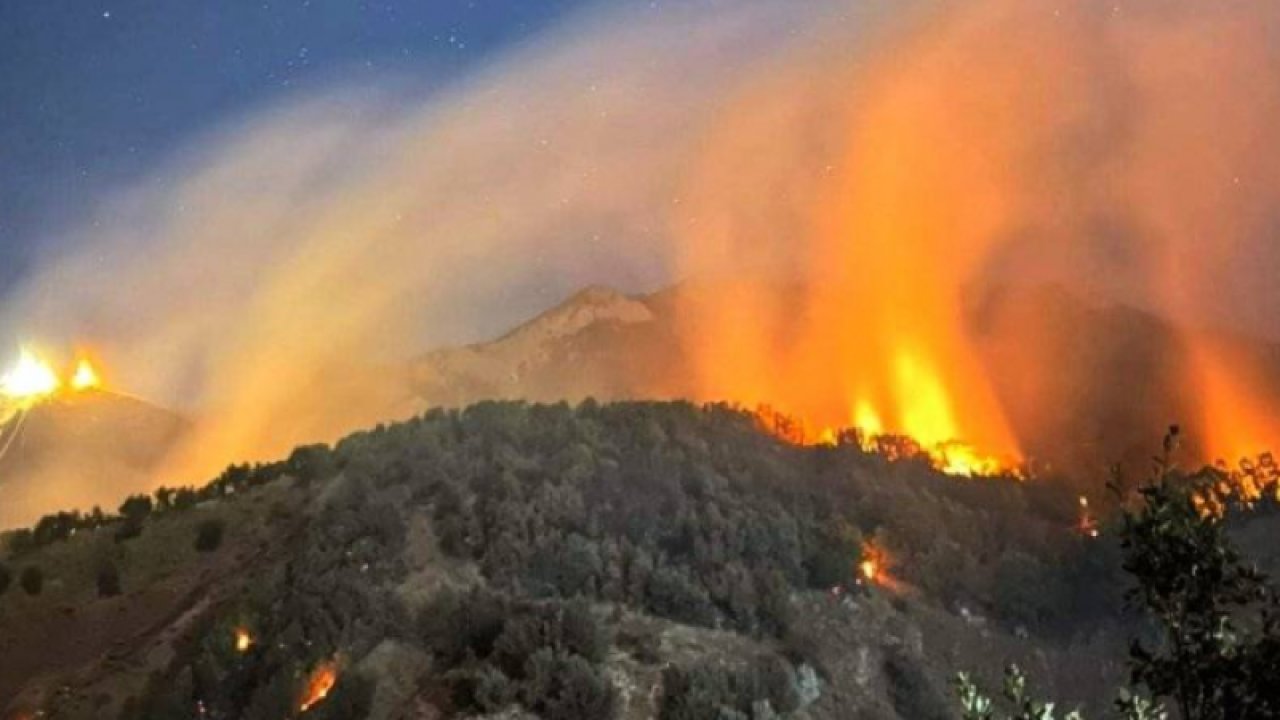 Tunceli’deki Milli Park alev alev yandı! Saatler sonra…