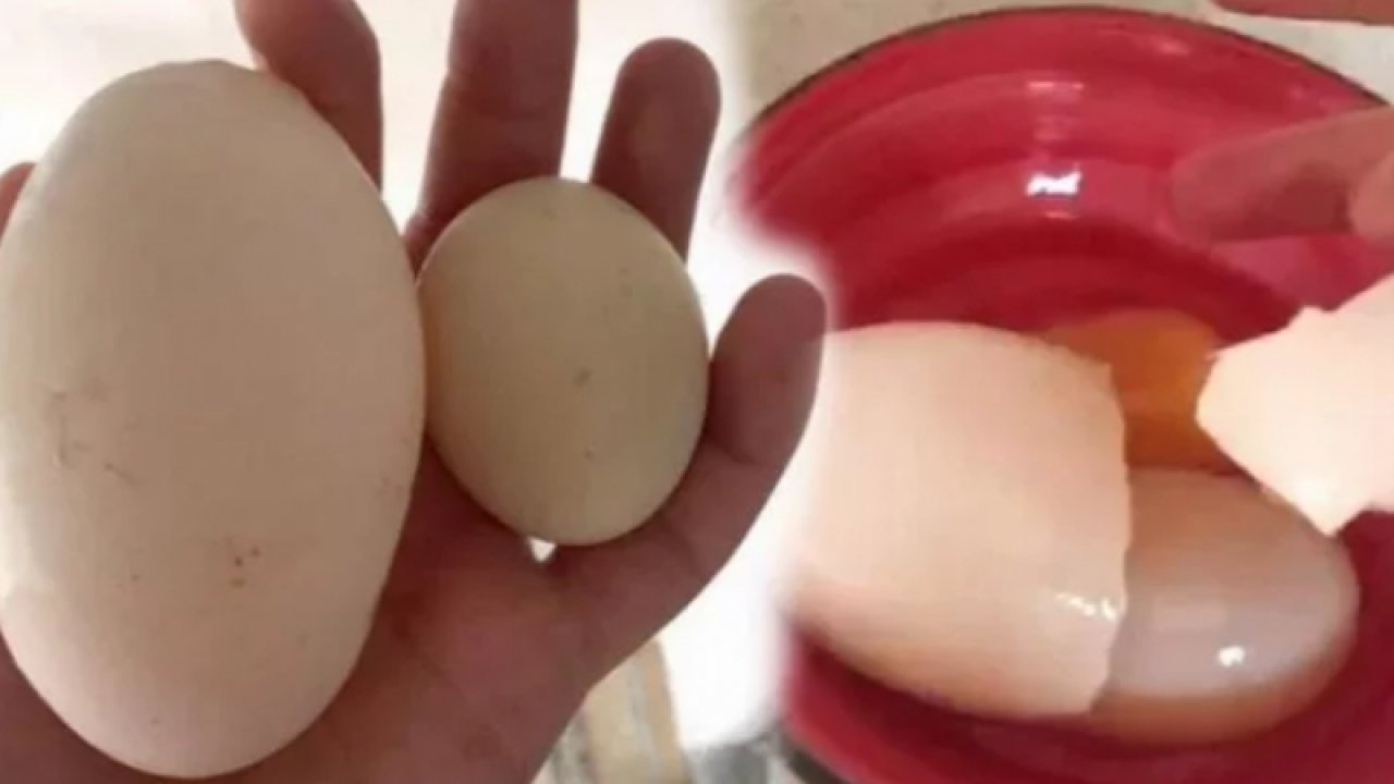 Yumurta doğurdu! Adıyaman’da yumurta kıran kadın hayatının şokunu yaşadı