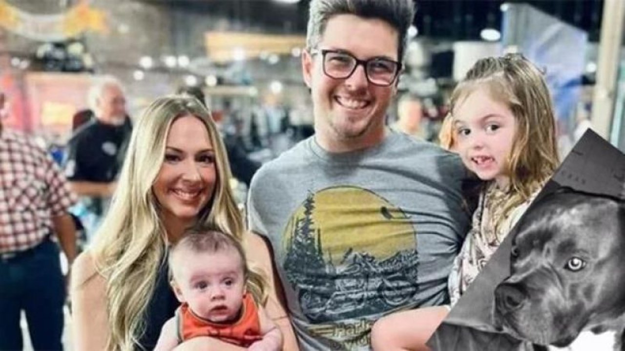 8 yıldır baktıkları pitbulllar saldırdı! 2 çocuk öldü! Anne ise ağır yaralandı