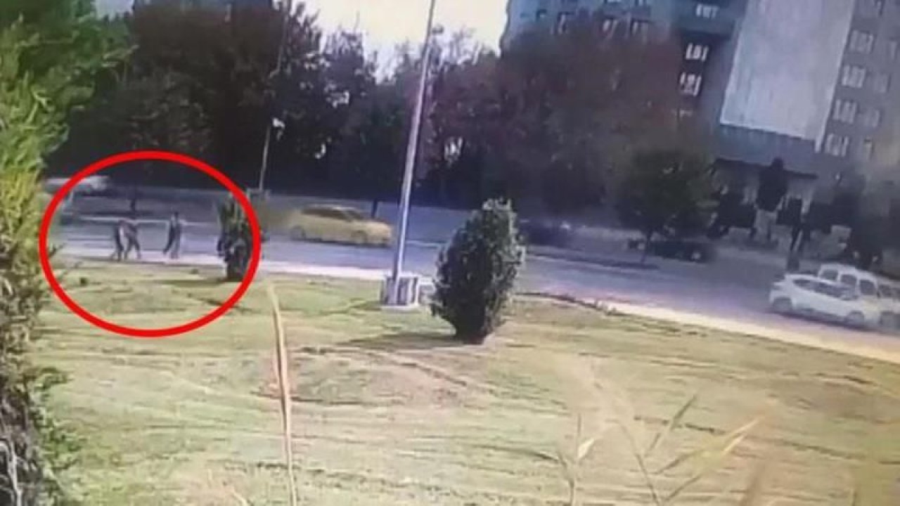 İstanbul’da köpeklerden kaçan 10 yaşındaki çocuk feci şekilde yaşamını yitirdi