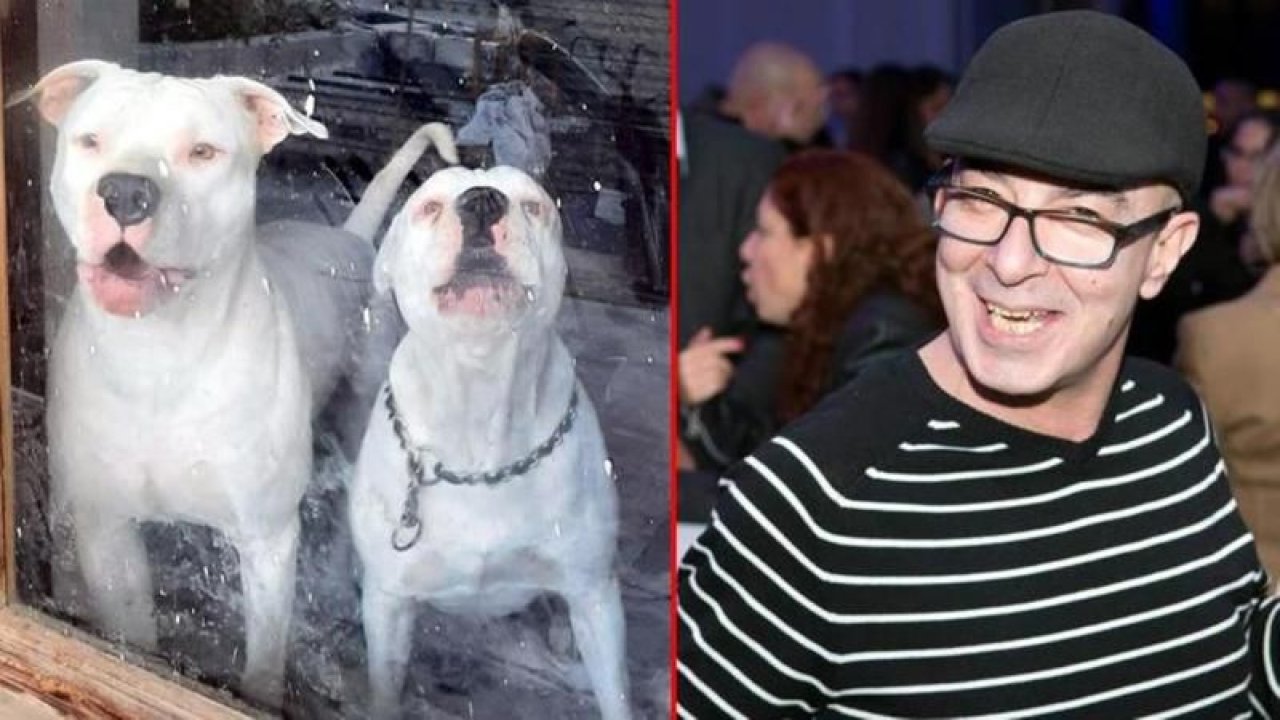6 pitbull ile korunan bağ evinde yakalanan İsrailli Shmuel’in asıl adının Kemal olduğu ve 31 ayrı suçtan arandığı ortaya çıktı!