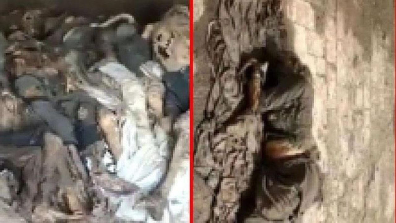 Hastane çatısında çürümeye yüz tutmuş cesetler ve insan parçaları bulundu! Deney için kullanıyorlarmış!