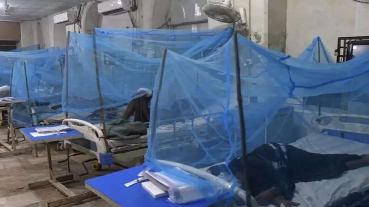 DSÖ: Uganda’da Ebola salgınında ölenlerin sayısı 44’e yükseldi