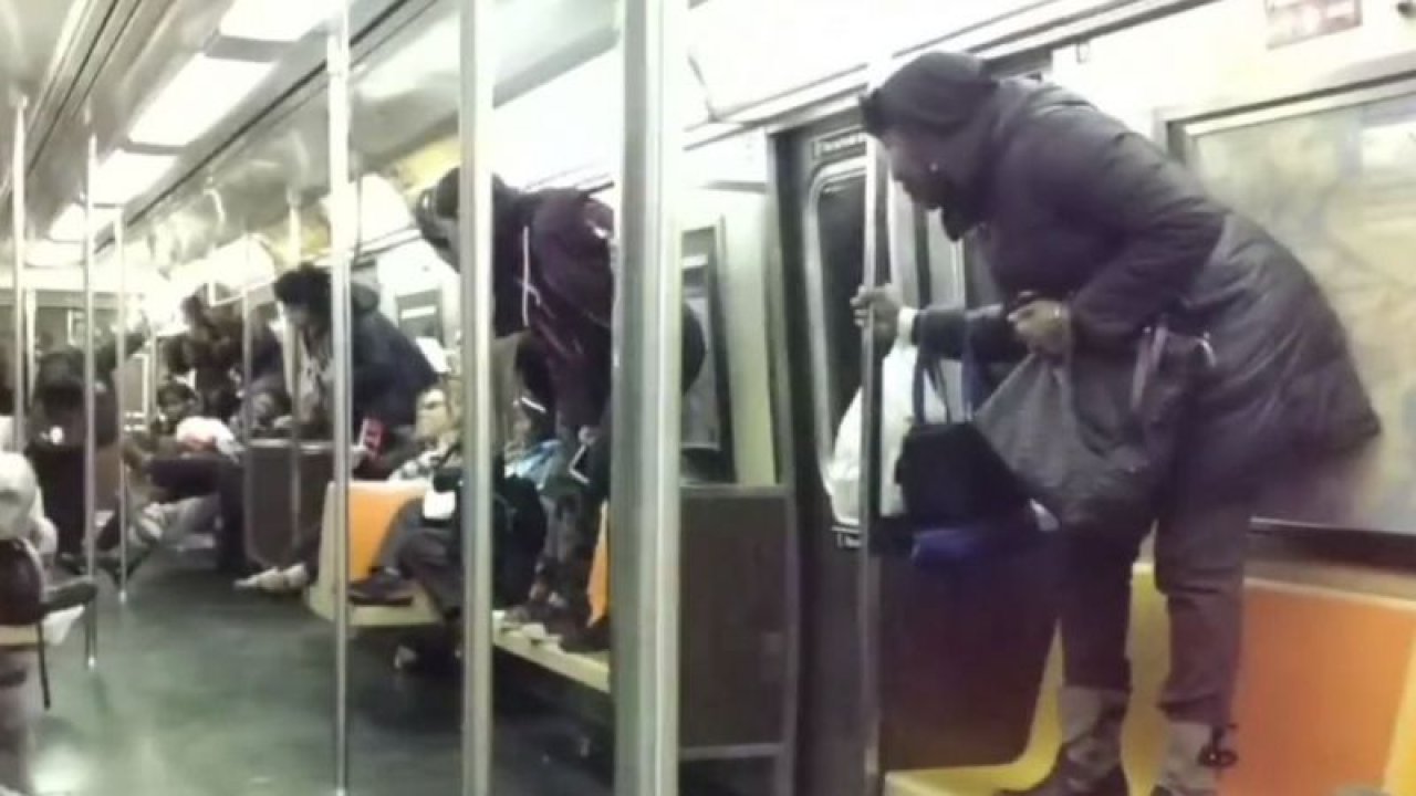 New York’u fareler bastı! Belediye120 bin dolara fare uzmanını arıyor