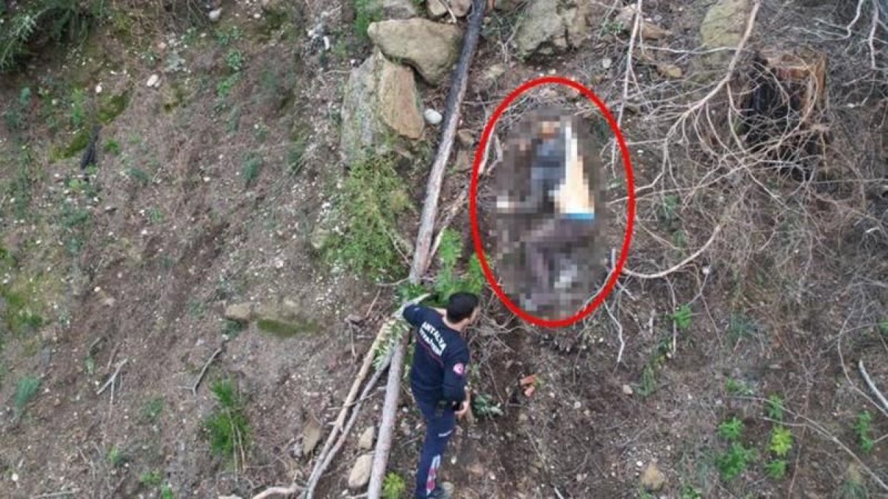 Antalya’da ağaç kesen adamın feci sonu! 70 metrelik uçurumda asılı kaldı