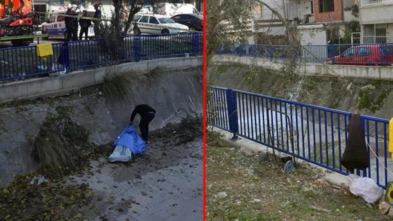 Zeytin toplamak için çıktığı ağaç sonu oldu! Emekli kasabın talihsiz sonu!