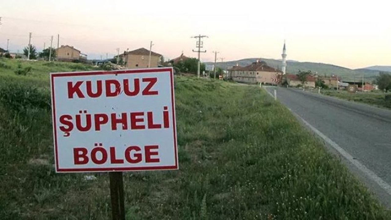 Tunceli’de kuduz hortladı! 6 ay giriş ve çıkış yasağı başladı