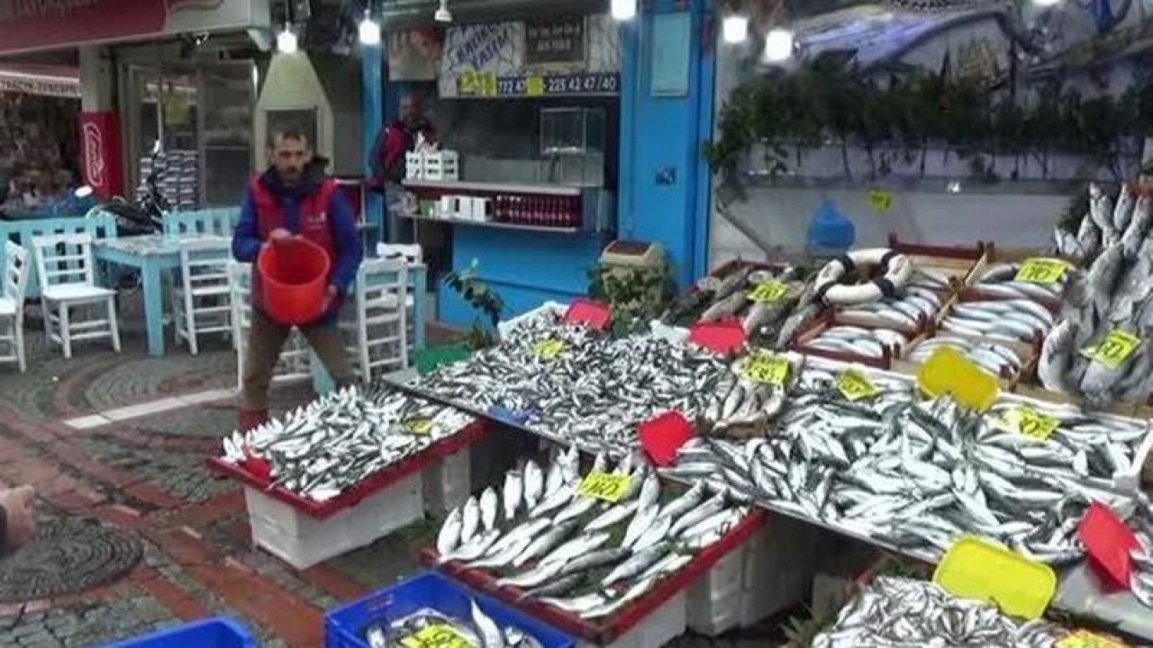 Hamsinin tezgahtaki fiyatı yüz güldürdü!