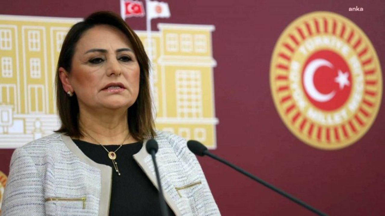 MÜZEYYEN ŞEVKİN, ORMAN BAKANI YUMAKLI’YA “SEYRELTME” ADI ALTINDA “AĞAÇ KATLİAMI” YAPILDIĞI İDDİALARINI SORDU