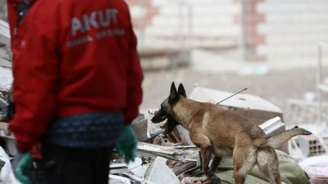 AKUT: YAPI STOKLARIMIZ DEPREME DAYANIKLI OLMALI VE ULUSAL AFET KÜLTÜRÜNÜN OLUŞMASI ŞART