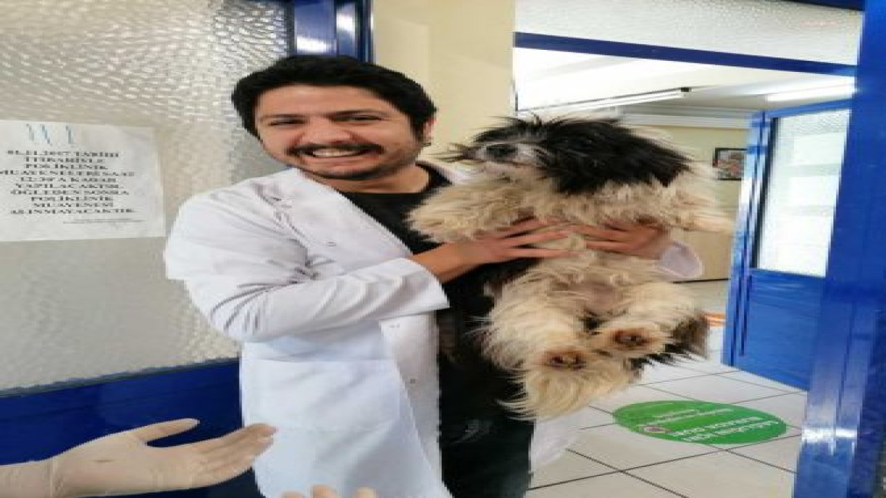 İZMİR BÜYÜKŞEHİR BELEDİYESİ’NDEN CAN DOSTLAR İÇİN “PAKO” MOBİL UYGULAMASI