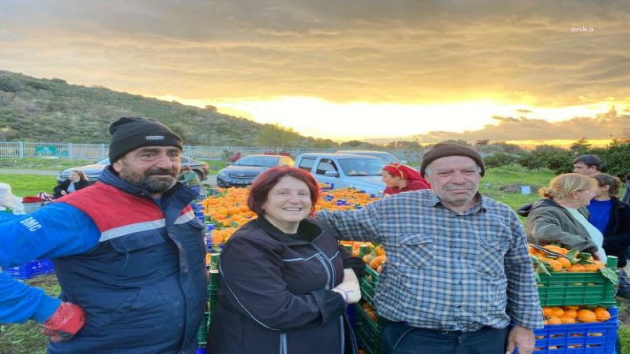 KARABURUN’DA ‘TURUNCU DAYANIŞMA’YLA MANDALİNA DALINDA ÇÜRÜMEDİ